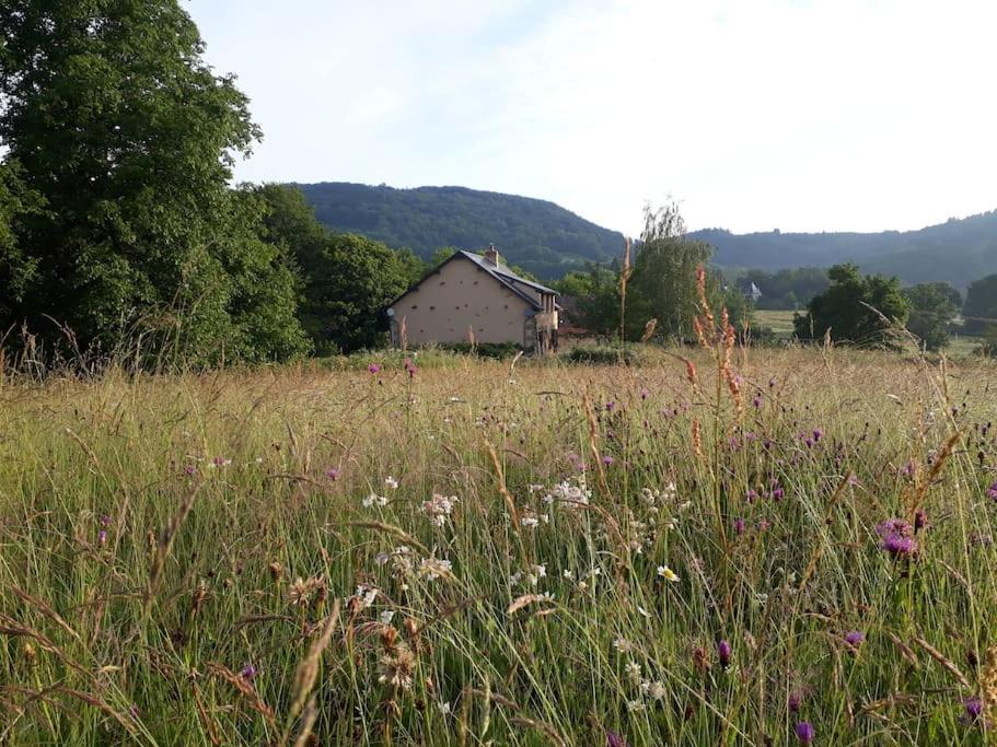 Le Studio Du Crot Noir Cussy-en-Morvan エクステリア 写真